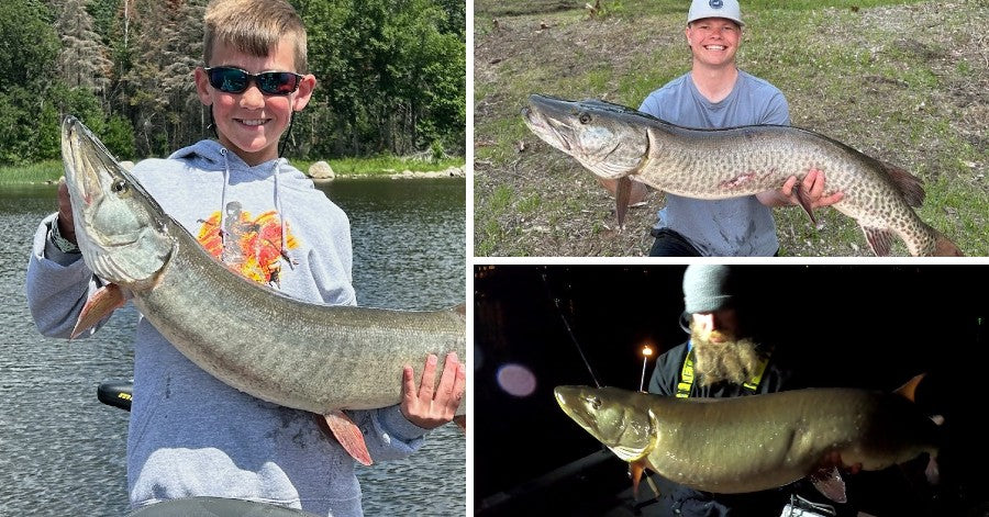 Catch more muskies with Rubber – Pressured Musky Tips – GIF Parade – Musky  Insider
