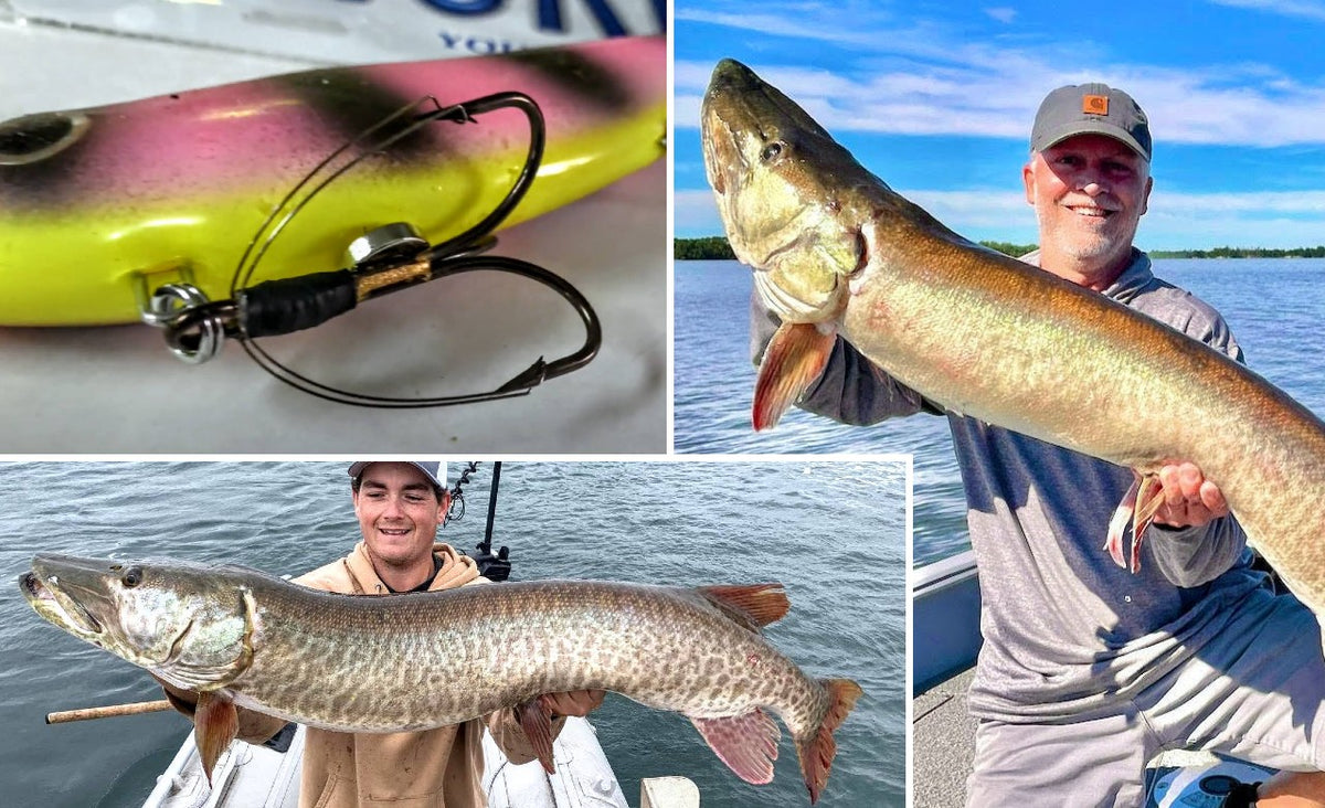 Do Weedless Trebles Work? – Stomach Contents Alive – Musky Leader