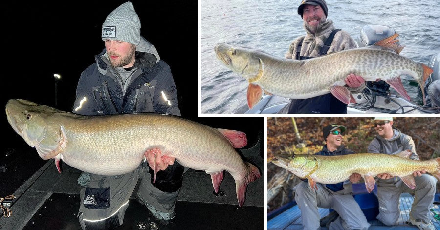 More Livescope Critiques & Opinions – Big Fall Muskies – Clearing vs. –  Musky Insider
