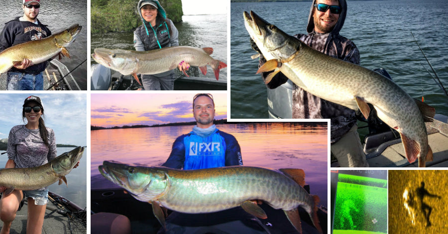 Lake of the Woods Muskie Trends, Tactics & Threats – Musky Shop