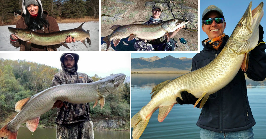 Fish Tech Tip: How to Fish for Tiger Muskie 