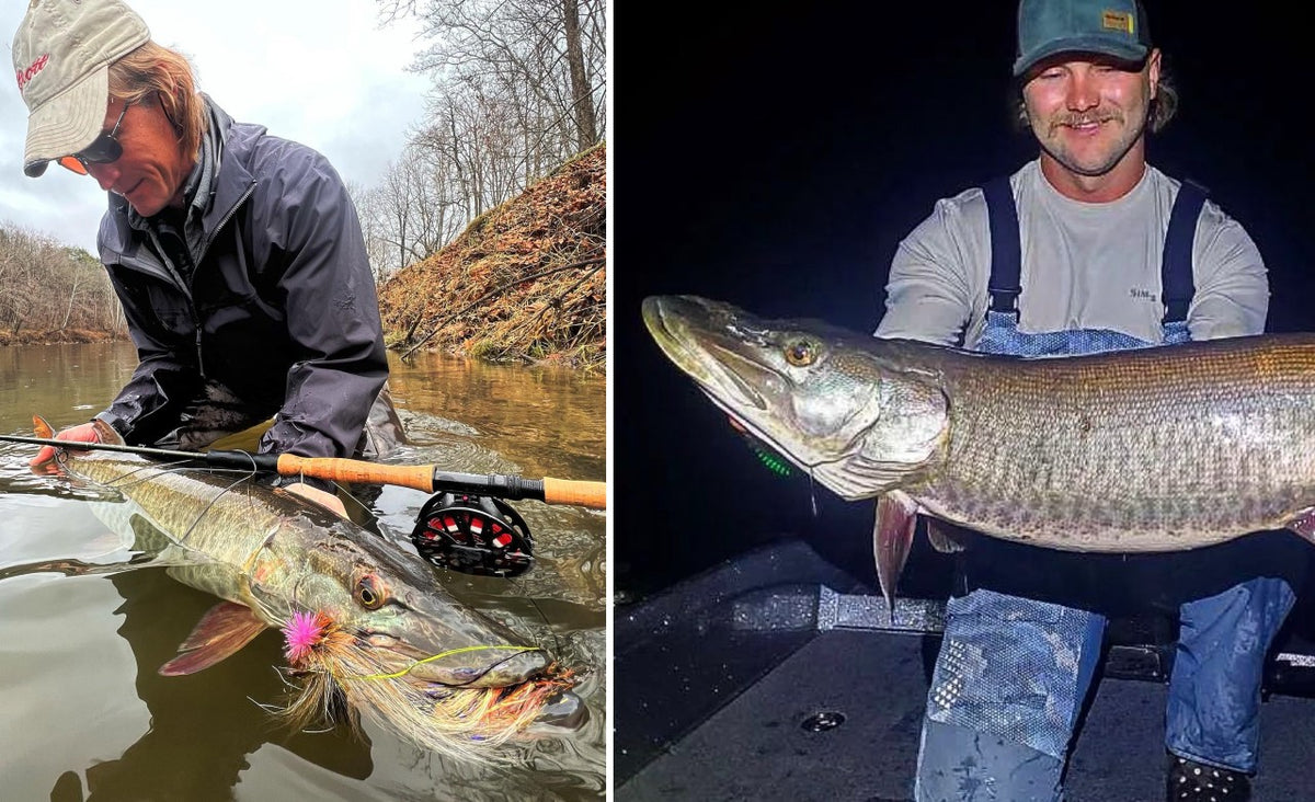 Pike and Muskellunge Fishing In NY