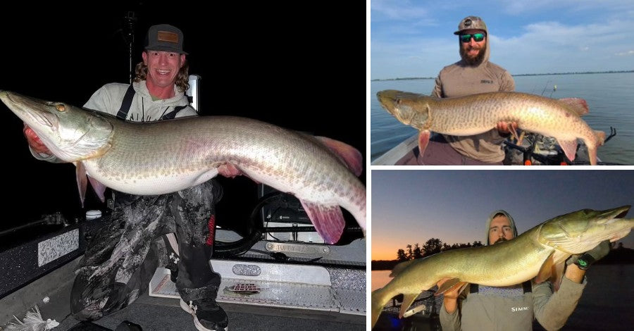 58"+ Monster - Hot Water Handling - Boatside Strike