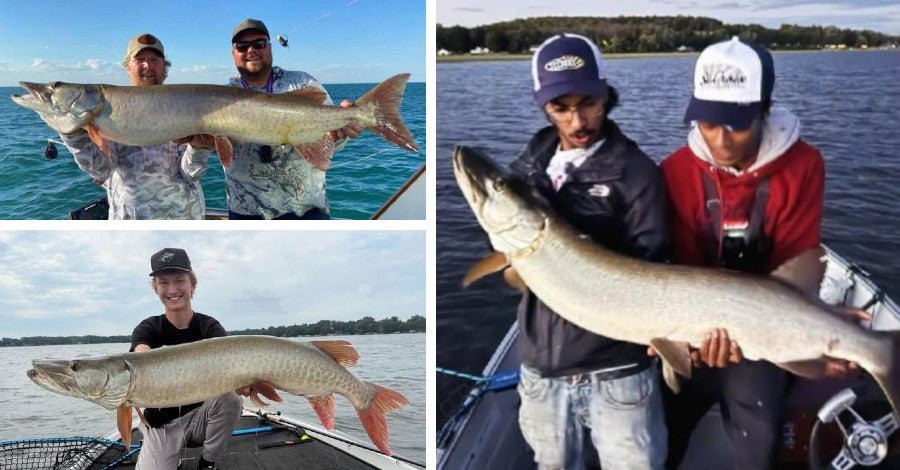 59”+ River Giant – Wild Net Jobs – Cold Weather Tips