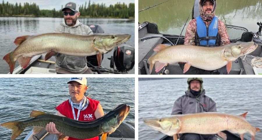 A+ Musky Tips - Big Industry Shakeup – Musky Insider