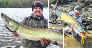 A+ New Musky Science – Is Musky Fishing Healthy? – Big Musky Pics