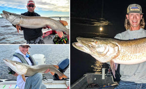 Monster 55+ Incher – Summer Topwater Tips – Sweet Musky Wall-Hangers