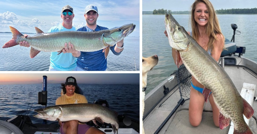 Beating the Bloom - FFS Ban Coming - Knuckle Buster Muskies