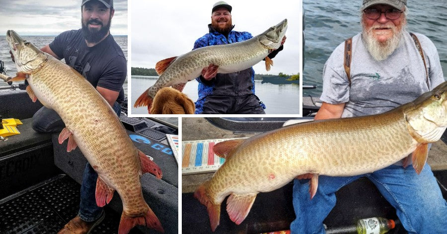 Best Musky Strikes Yet! – 56'' Humpback Whale – Cheers to the Ladies
