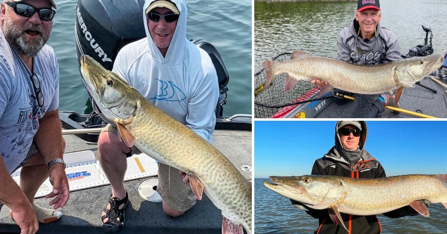 Dialing in a New Unit – Muskies are Frustrating ALL Year – MN Show Coming