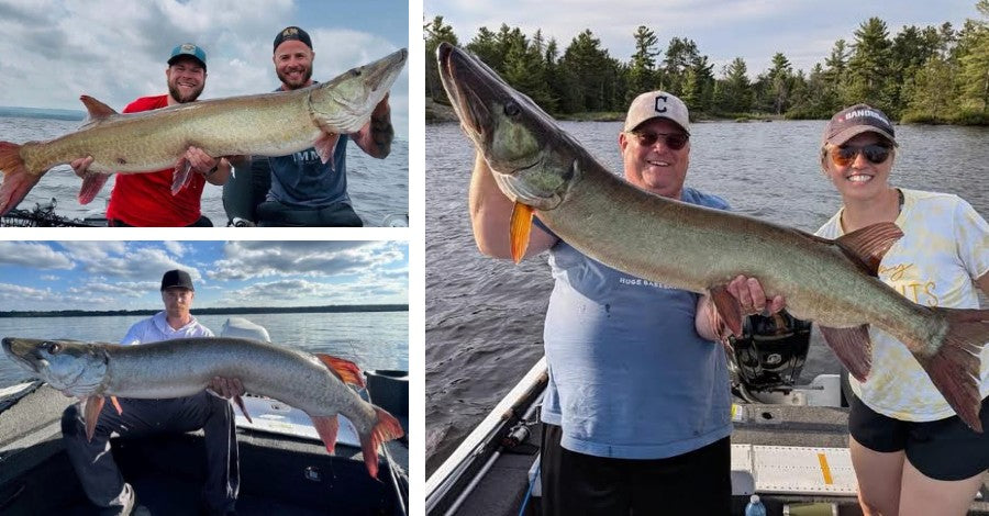 Early Fall Tips - DIY Hacks - Monster Muskies