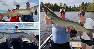 Early Fall Tips - DIY Hacks - Monster Muskies