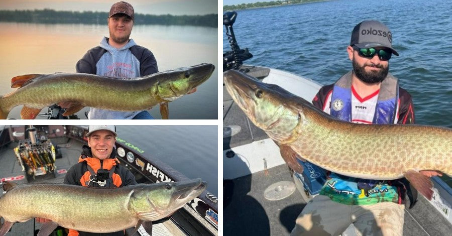 Electronics Tips - Lure Mods - Monster Muskies