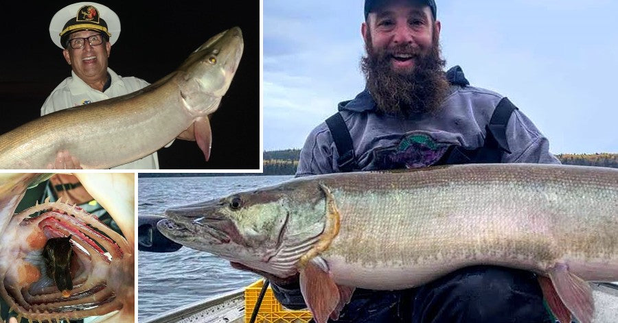 Fall Musky Fall Musky Location – Extra Chunky 'skies – The Musky Sasquatch – Musky ...