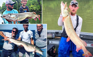 Figure 8 Insights – Extra Aggressive Musky GIF – Prof Went Musky Fishing