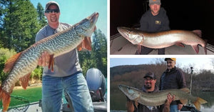 Figure 8 Tips - Crazy Stats - Angler's Summit News