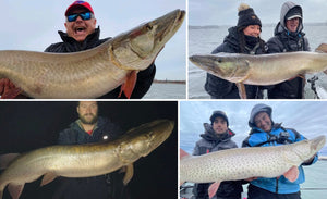 ''First Ice'' Musky Fishing – Sucker Sadness – Ice Suit 'skies