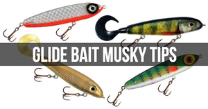 Glide Bait Muskies 101