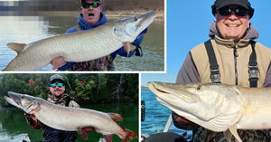 In-Depth Musky Tips – Least Imitating Musky – New Trolling Class