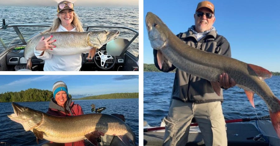 Inland Michigan ‘Skies - PMTT Deets - Wakin’ Up Trouble