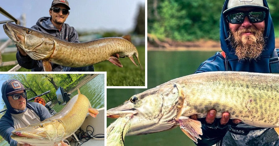 Livebait in Spring – Sweet Stream 'skie GIFs – Big Beards & Fly 'skies ...