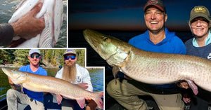 Livescope Strike GIFs – How to cast better – Al Lindner on musky fishing