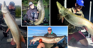 MN Records Broken – Herbie & Doug Wegner Tips – Swimbait Stuff