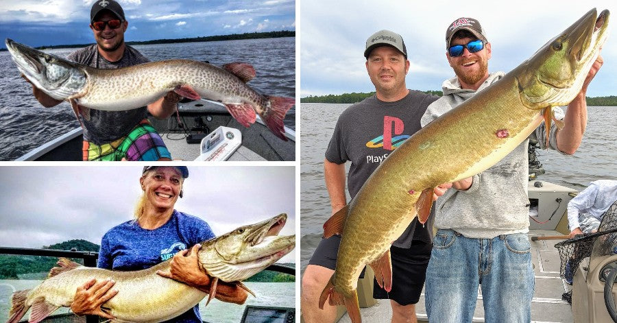 Hot water debate (the other side) – Giant Musky Pics – Picking just ONE Rod....