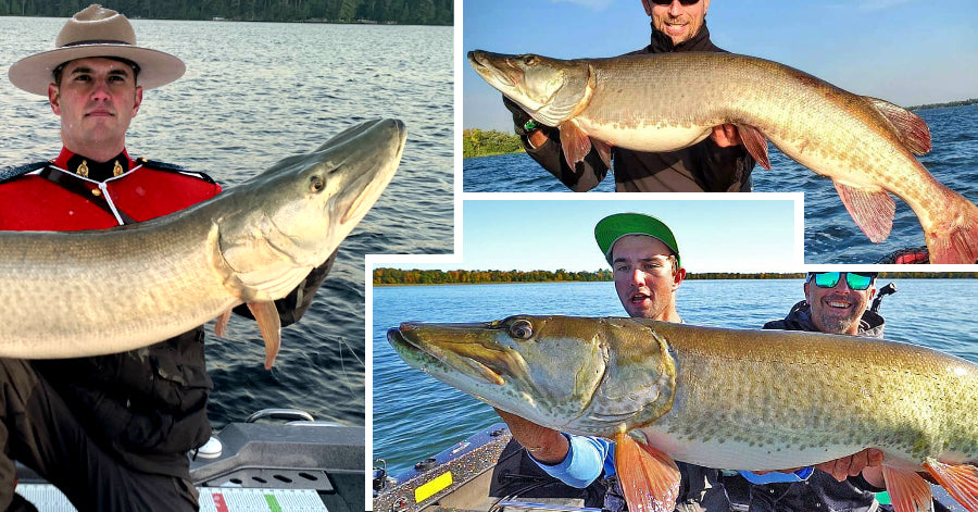 53-incher caught TWICE – Musky Science – Awesome Strikes & Sad Losses
