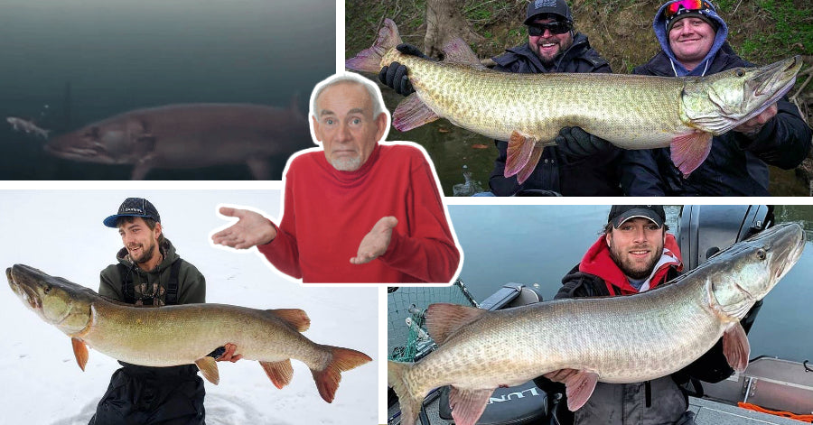 Super lucky catch (vid) – Ciscos don't create monsters? – Underwater Musky