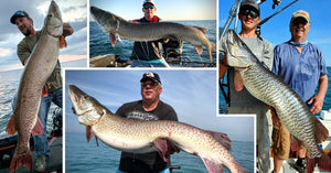 58.5 incher caught – Spencer Berman Tips – Several Massive Musky Pics