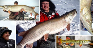 Larry Dahlberg Tip – GIANT Ice Musky – Science & Boatside Strikes