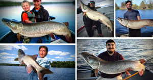 Shore Fishing Musky (Big) – Mayflies=Musky Success – Sneaky Mapping Tips