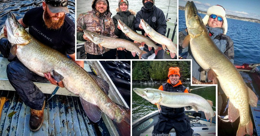 56'' Mammoth 'skie – Ruining the #1 Musky Lake – Fall Casting Tips