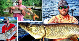 September Musky Tips – 52 pounder caught – How NOT to sucker fish