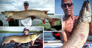 World Record Muskies – Using Musky Data – Boatside Smackdowns