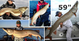 59'' Musky (seriously) – Fall Trollin' Tips – 3 MONSTERS in ONE day