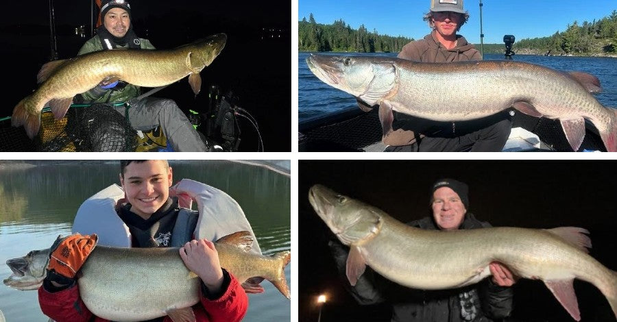 Musky Madness - Lure Mods - PMTT 2025