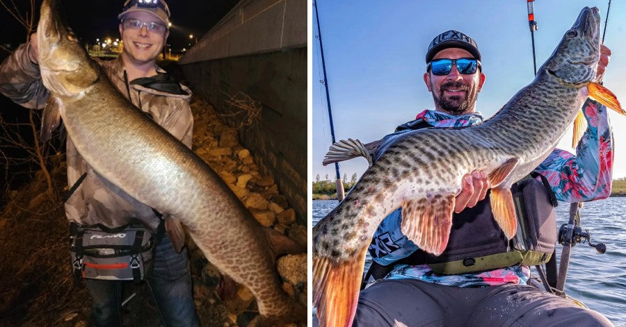 Must-Grab Musky Gear – Gift Ideas for Dad – Big Musky Pics