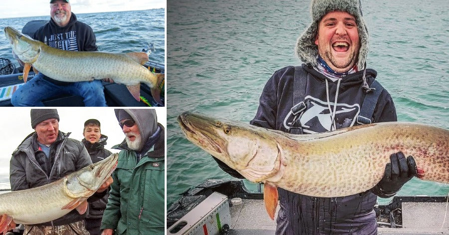 NEW Musky Diet Study – Does Livescope Impact Fish? – Fresh Show Colors