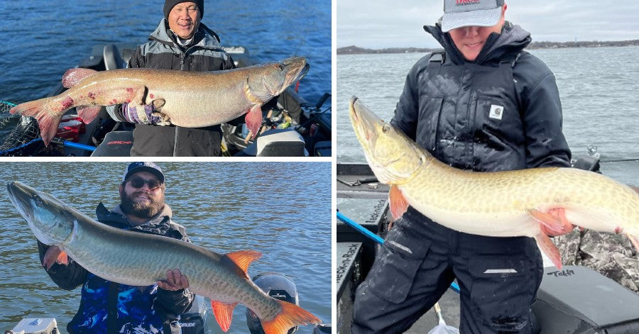 New Baits to Look For – Cool Dyin' Dawg Tips – Advice for Guide Trips ...