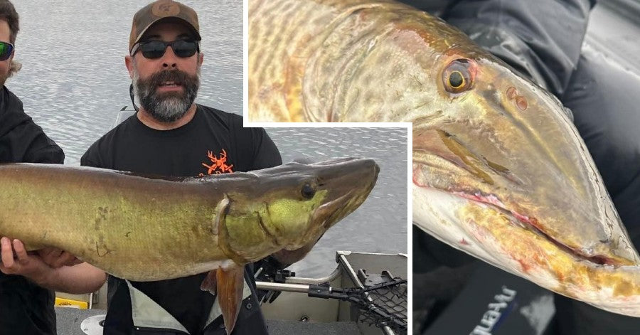 New Can't-Miss Musky Lure – James Lindner interview – Some ugly 'skies