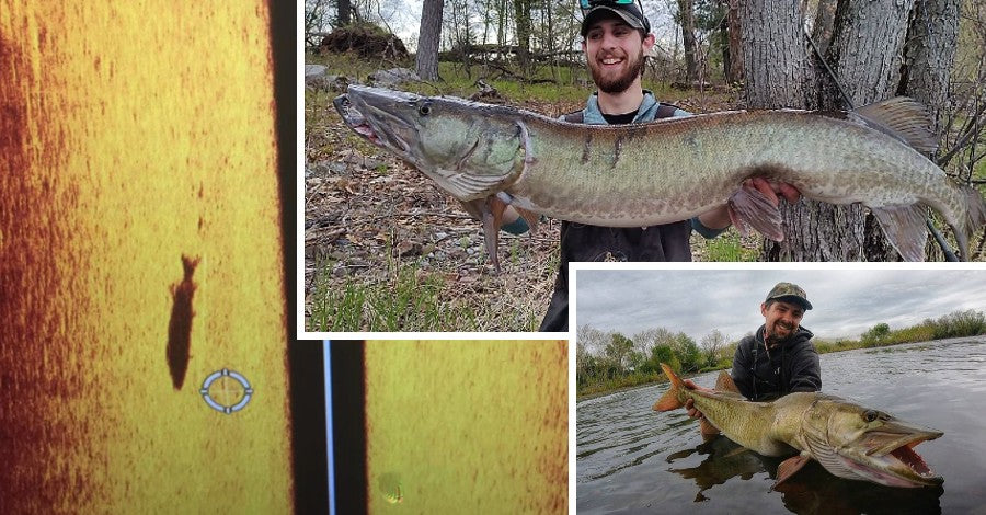 New Musky Science – Electronics Tips – Cool Vintage Lures