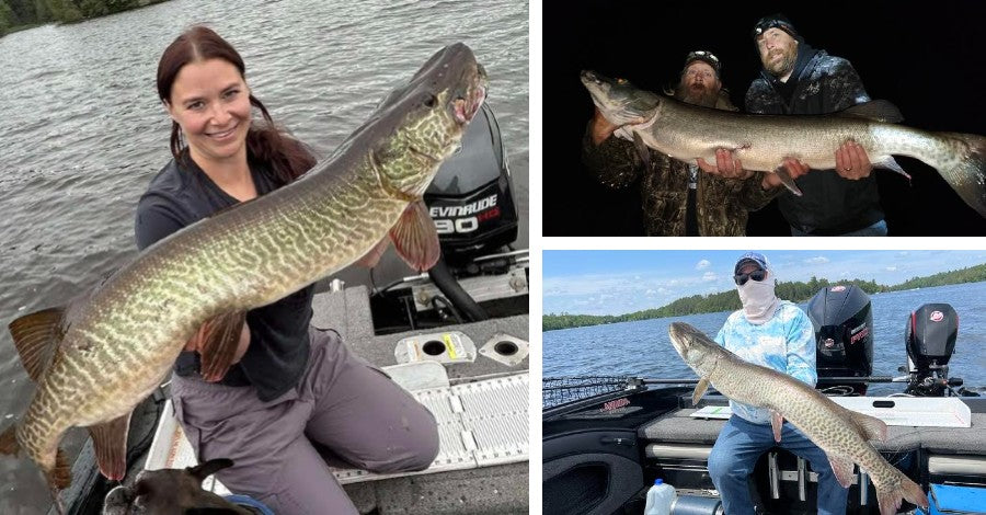 Night Fishin’ Tips - Bait Bazooka - PMTT Deets