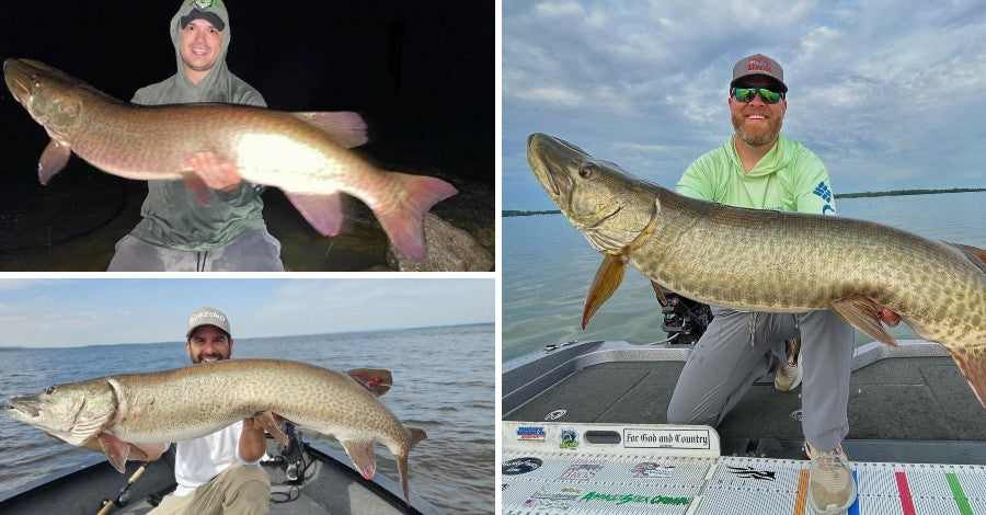 Open Water Exodus - Musky Versus Dog - Don't Text And Fish