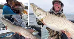 Open Water Tips – PMTT Records Broken – Wholesome Musky Catch