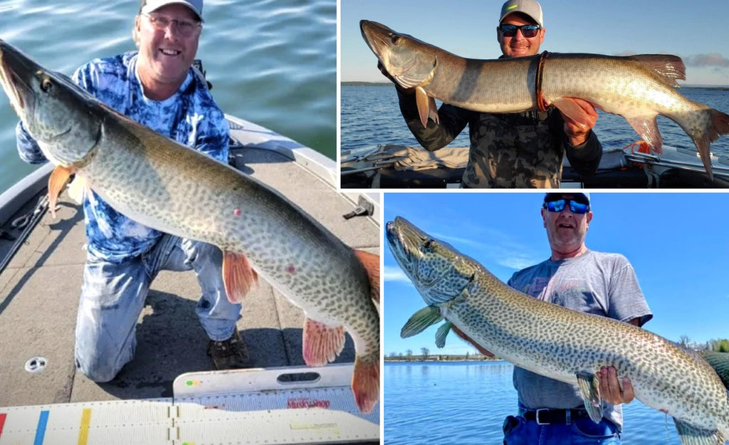 PMTT Results (Leech) – ''Ring Around the Musky'' – Some Monsters Caught