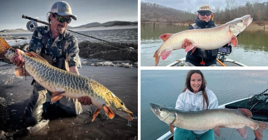 Ronnestrand Mods - PMTT News - Tackle Tariffs – Musky Insider