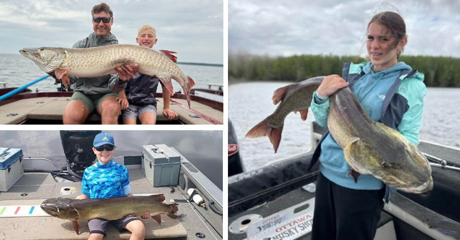 Sleeper Windows - New Gear Unveiled - Musky Brother in Need