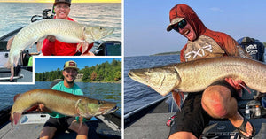 Sonar Scaring Muskies? – Vermilion PMTT Rundown – Great Underwater Shot